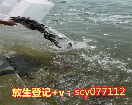 惠州公园放生黄鳝，惠州生日当天放生什么最好最吉利，惠州何地可以放生鸭子