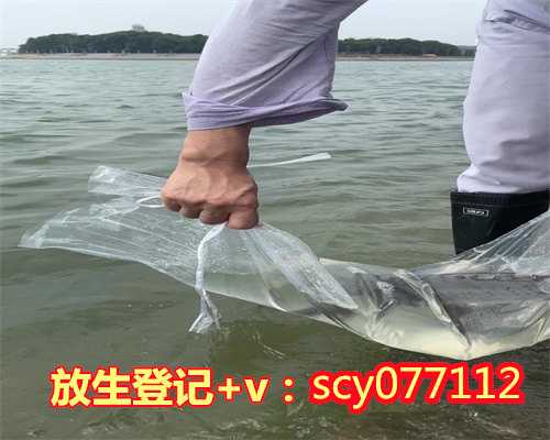 惠州流产后放生,惠州放生鸟,惠州哪里适合放生甲鱼的地方