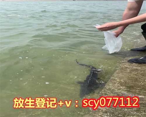 贵州初一放生泥鳅有效