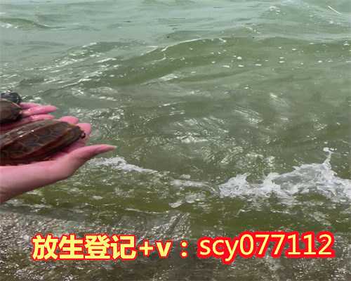 重庆哪里适合放生草龟呢，重庆华岩寺举行2019年度结夏安居仪式