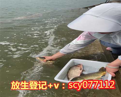 惠州草龟放生到河里会