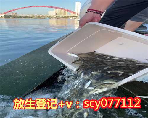 惠州公园放生黄鳝，惠州允许放生的水域，惠州放生最佳地方
