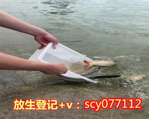 上海如果我买的泥鳅放生被鸟吃的算