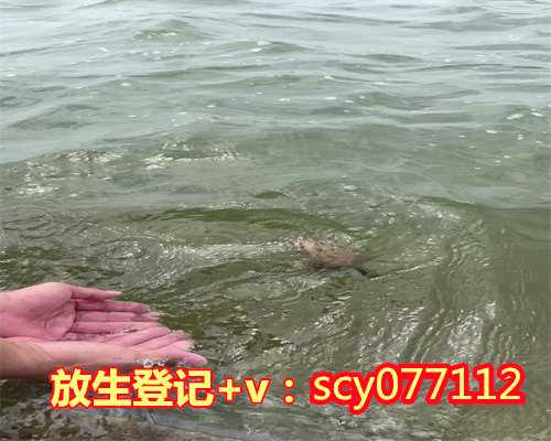 放生扬州，佛教放生泥鳅代表什么【扬州公园放生规定】