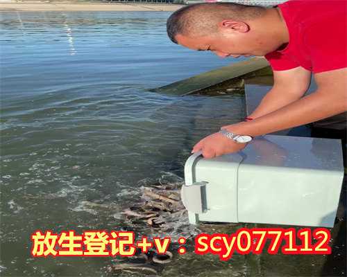 芜湖经常放生甲鱼，芜