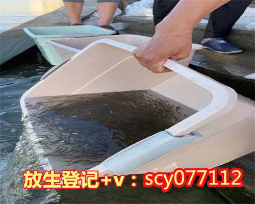 南京放生的地方在哪里最好，南京渔民捕获胭脂鱼王体长超1米