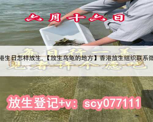 香港生日怎样放生,【放生乌龟的地方】香港放生组织联系微信