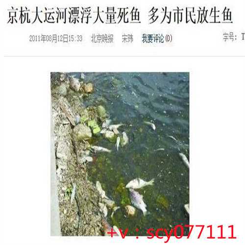 福州流产后放生，福州放生泥鳅最佳地点，为什么甲鱼不能放生